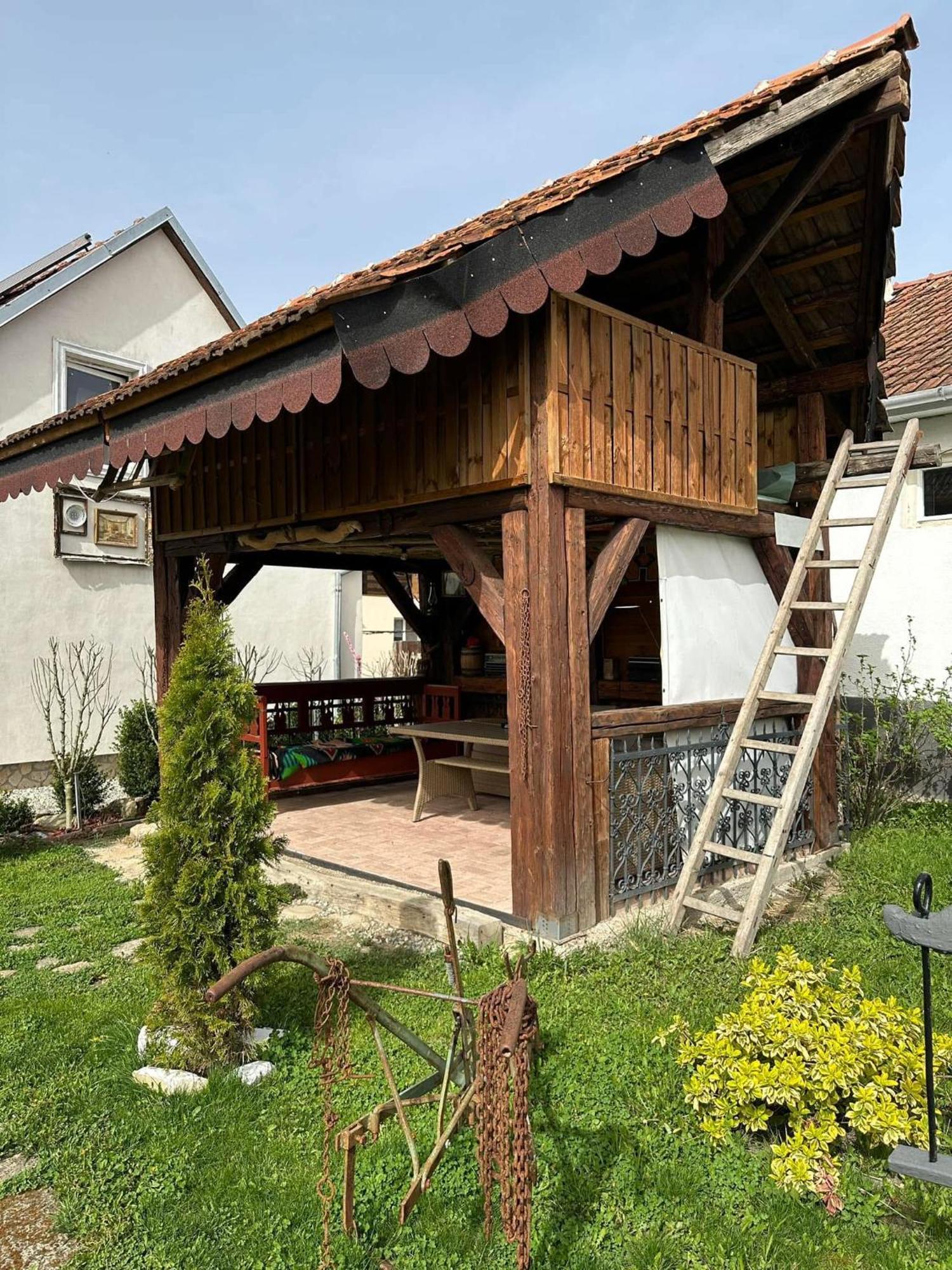 Casa Cezara Silvasu de Jos Exterior foto