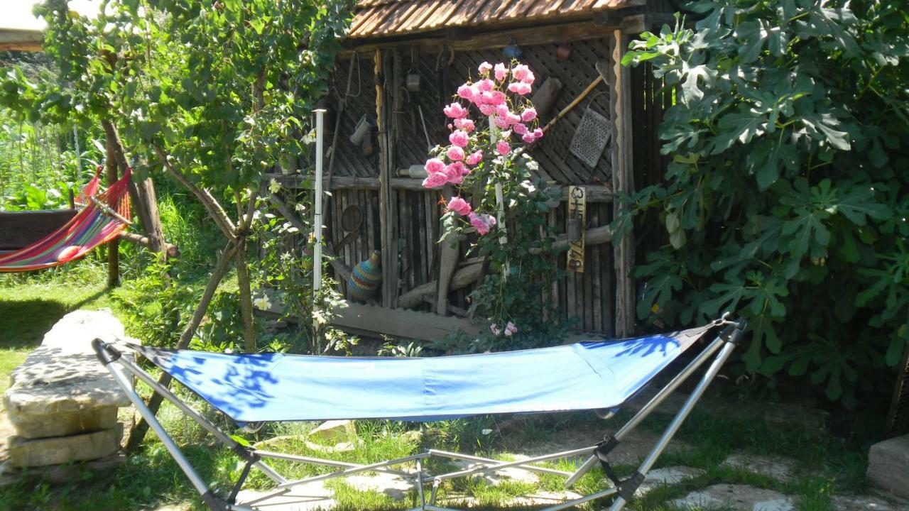 Casa Cezara Silvasu de Jos Exterior foto